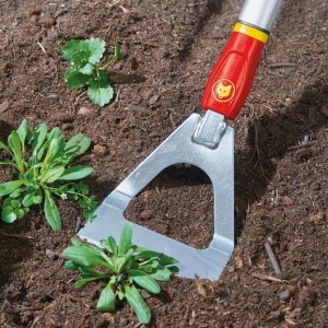 Dutch Hoe DH - M 
